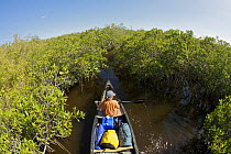 Russell Laman paddling a canoe through mangrove channels of the Hell's Bay Canoe Trail, Everglades National Park, Florida, USA. Model released, April 2008