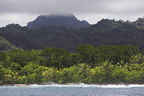 View of the rugged coast of Kostrae Island, Federated States of Micronesia. July 2005