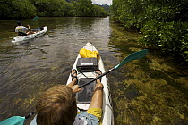 Photographer Tim Laman (foreground) and field assistant Zafer Kizilkaya explore and photograph the mangroves by kayak. Kostrae Island, Federated States of Micronesia. July 2005, model released