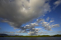 Cumulus cloud formations over the Caroni Swamp in the late afternoon, Caroni Bird Sanctuary, Trinidad, Trinidad and Tobago. February 2006
