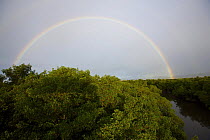 Full rainbow arch over Red mangrove forest {Rhizophora mangle} and river channel in Caroni Swamp. Caroni Bird Sanctuary, Trinidad, Trinidad and Tobago. February 2006
