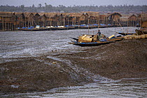 Nolian village with shrimp fry fishing boats pulled up on the mudflats of the Sibsa River at low tide, Sundarbans, Khulna Province, Bangladesh, March 2006