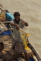 A fisherman displays his catch of a large catfish. Sundarbans, Khulna Province, Bangladesh, March 2006