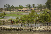 Shrimp ponds for commercial shrimp farming near a small village, Sundarbans, Khulna Province, Bangladesh, March 2006