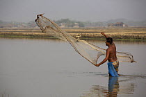 Using a throw net to harvest shrimp from a shrimp farm pond, Shrimp ponds cover the countryside in the distance, Sundarbans, Khulna Province, Bangladesh, March 2006