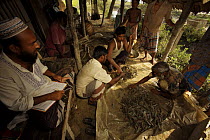 Men weighing sorted giant tiger shrimps harvested from a shrimp farm pond, Sundarbans, Khulna Province, Bangladesh, March 2006