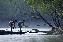 Fishermen in their boat on a small mangrove channel in the Sundarbans, Khulna Province, Bangladesh, March 2006