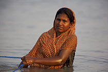 Woman pulling shrimp fry collecting nets along the shallows of the Kholpatura River, Gabura Village, Sundarbans, Khulna Province, Bangladesh, April 2006