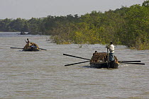 Teams of honey hunters head south into the Sundarban mangrove forest on honey collecting expeditions for a month or more. Approximately nine men live on these boats for the duration of their trips, Su...
