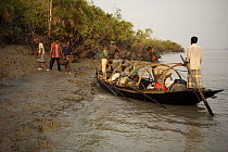 A team of honey hunters approach shore in their boat. Nine men live on this boat for a honey hunting expedition that may last a month or more, Sundarbans, Khulna Province, Bangladesh, April 2006