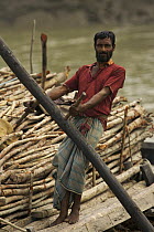 Charcoal wood collector with boat loaded with Goran wood (Ceriops sp) harvested from the mangrove forest, Sundarbans, Khulna Province, Bangladesh, April 2006