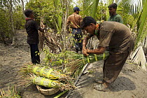Honey collectors preparing smoke torches to smoke out bees during honey collection, Sundarbans, Khulna Province, Bangladesh, April 2006