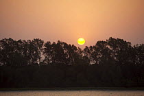 Sunrise over the mangrove forest, Sundarbans, Khulna Province, Bangladesh, April 2006