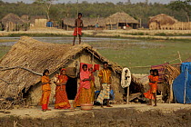 Village of Chandpai on the Passur River, where shrimp fry fishing to supply shrimp for the shrimp ponds is the main industry. Villagers live in simple mud and thatch huts that are washed away by high...