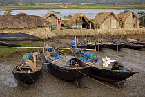 Village of Chandpai on the Passur River, where shrimp fry fishing to supply shrimp for the shrimp ponds is the main industry. Villagers live in simple mud and thatch huts that are washed away by high waters every year. Sunderbans, Khulna Province, Bangladesh, April 2006
