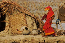 Woman and chicken in the village of Chandpai on the Passur River, where shrimp fry fishing to supply shrimp for the shrimp ponds is the main industry. Villagers live in simple mud and thatch huts that...