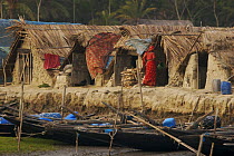 Traditional houses in the village of Chandpai on the Passur River, where shrimp fry fishing to supply shrimp for the shrimp ponds is the main industry. Villagers live in simple mud and thatch huts tha...