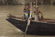 Men operating the oars to power a cargo boat on the Rupsha River, Sundarbans, Khulna, Bangladesh, April 2006