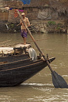 Man operating the oars to power a cargo boat on the Rupsha River, Sundarbans, Khulna, Bangladesh, April 2006