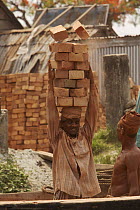 Men unloading bricks from a boat by carrying them on their head. Sundarbans, Khulna, Bangladesh, April 2006