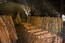 Timber piled up ready for loading into charcoal kiln. Charcoal production near Taiping, Malaysia, where (Rhizophora apiculata) mangrove wood from the Matang Mangroves is used to produce charcoal usin...