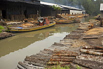 Logs stacked near the charcoal kilns. Charcoal production near Taiping, Malaysia, where (Rhizophora apiculata) mangrove wood from the Matang Mangroves is used to produce charcoal using traditional met...
