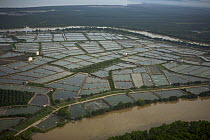 Aerial view of shrimp ponds and river on mainland part of Pulau Pinang province, Malaysia. May 2006