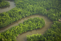 Aerial view of mangroves and river bends in the Sungai Petani area, Kedah, Malaysia. May 2006