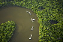 Aerial view of mangroves and a river bend with fish rearing enclosures in the Sungai Petani area, Perak, Malaysia. May 2006