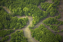 Aerial view of an area of mixed mangrove species and regenerating mangroves. Sungai Petani vicinity, Kedah, Malaysia. May 2006