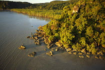 Aerial view of a rocky part of the Bako peninsula coastline covered in rainforest, with mangrove forest in the shallow bay in the background, Bako National Park, Sarawak, Borneo, Malaysia, June 2006