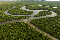 Aerial view of rivers and mangrove forest.~Sarawak Mangrove Reserve, Sarawak, Borneo, Malaysia. June 2006