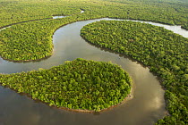 Aerial view of rivers and mangrove forest. Sarawak Mangrove Reserve, Sarawak, Borneo, Malaysia. June 2006