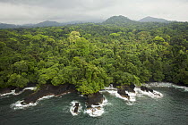 Aerial view of rainforest canopy on southern coast of Bioko Island, Equatorial Guinea, Central Africa. January 2008