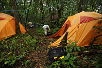 Campsite in the rainforest of Bioko Island. Intermediate camp (Camp Peter) on the trek into the Caldera. Bioko Island, Equatorial Guinea, Rapid Assessment Visual Expedition, International League of Conservation Photographers, January 2008. Model released