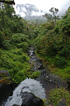 Waterfall on the Rio Santo Antonio in the upper region of the Gran Caldera Volcanica de Luba, (Caldera wall is visible in the background) Bioko Island, Equatorial Guinea, January 2008