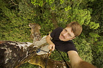 Self portrait of Photographer, Tim Laman, climbing an emergent mahogany tree in the Gran Caldera Volcanica de Luba, Bioko Island, Equatorial Guinea, Rapid Assessment Visual Unit, International League...