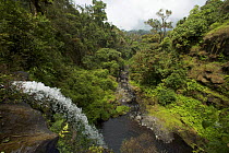 Waterfall on the Rio Santo Antonio in the upper region of the Gran Caldera Volcanica de Luba, Caldera wall is visible in the background, Bioko Island, Equatorial Guinea, January 2008