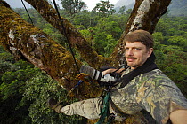 Photographer, Tim Laman, in the canopy of an emergent mahogany tree with canopy level view of the rainforest of the Gran Caldera Volcanica de Luba and surrounding walls of the caldera, Bioko Island, E...