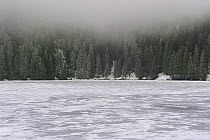 Lac Vert frozen over in winter, Ballons des Vosges Natural Park, Vosges, Lorraine, France, December 2008