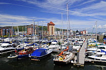 The Marina, Maritime Quarter, Swansea, Wales, UK. June 2009.