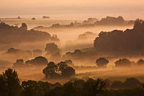 Dawn over rural countryside, view from Cadbury Castle, South Cadbury, Somerset, England, September 2008