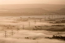 Electricity pylons rising through dawn mist, view of the Marshwood Vale from Lambert's Castle, Dorset, England, September 2008