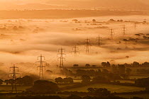 Electricity pylons rising through dawn mist, view of the Marshwood Vale from Lambert's Castle, Dorset, England, September 2008