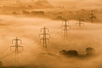 Electricity pylons rising through mist at dawn, view of The Marshwood Vale from Lambert's Castle, Dorset, England, September 2008