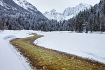 Pisnica River and Visic Pass in winter, Kranjska Gora, Triglav National Park, Julian Alps, Slovenia, March 2009
