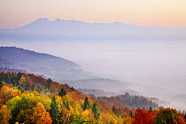 View of Ljubljana Basin towards the Kamnik Alps, mixed forest with morning mist, autumn, Gorenjska, Slovenia, October 2008