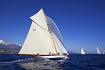 15M Fife cutter "Tuiga" sailing at her centenary, Monaco Classics Week, September 2009.