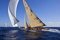 15M Fife cutter "Tuiga" sailing at her centenary, Monaco Classics Week, September 2009.
