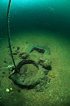 Step (part of the ship's mast, where one section is joined to the next) of an unknown wreck off the south coast, UK. September 2009.